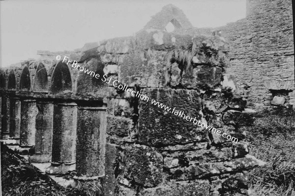 CREVALEA FRIARY  CLOISTER ARCHES  NORTH SIDE